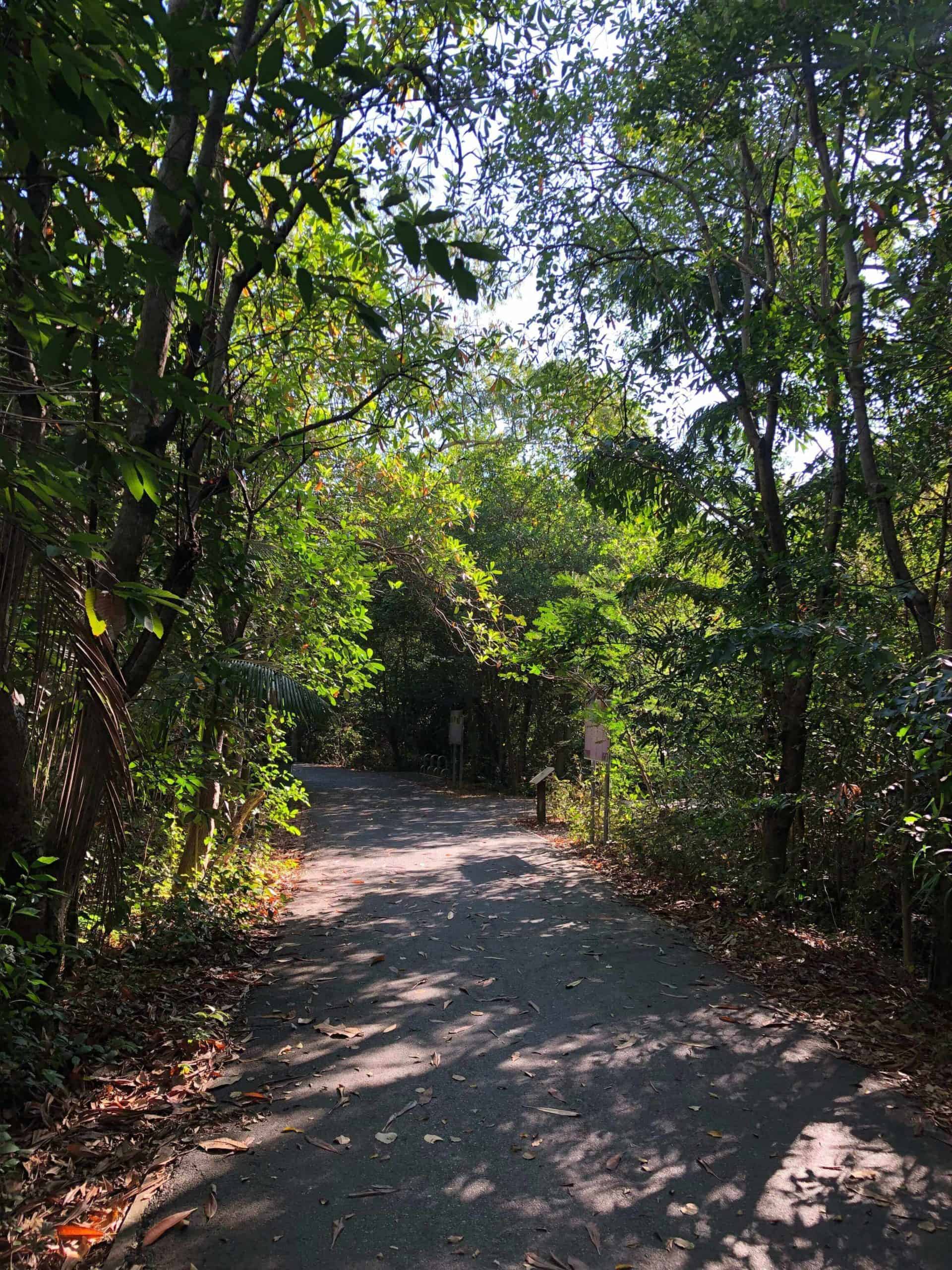 Stefanorama - Bang Krachao 6