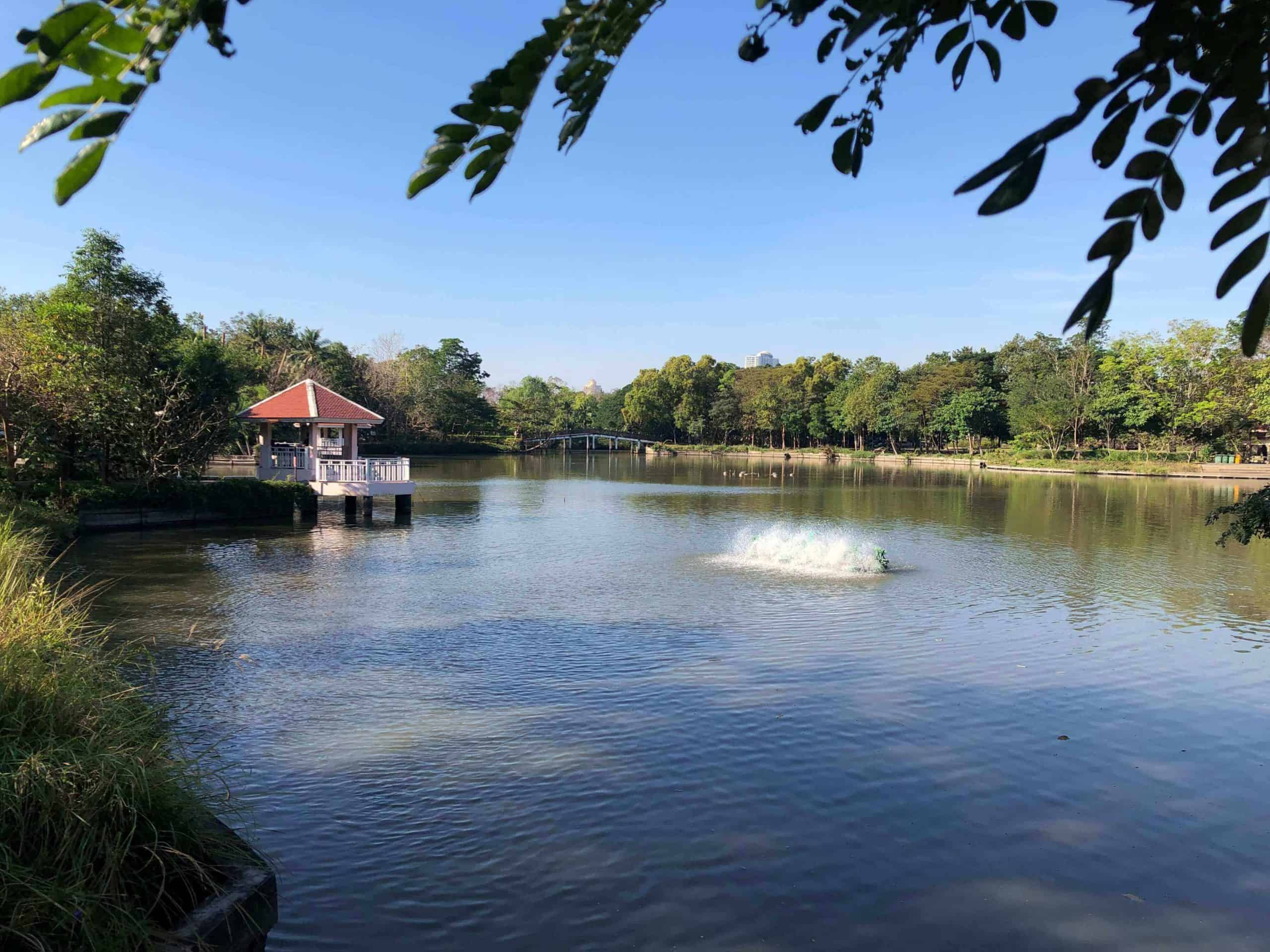 Stefanorama - Bang Krachao 5