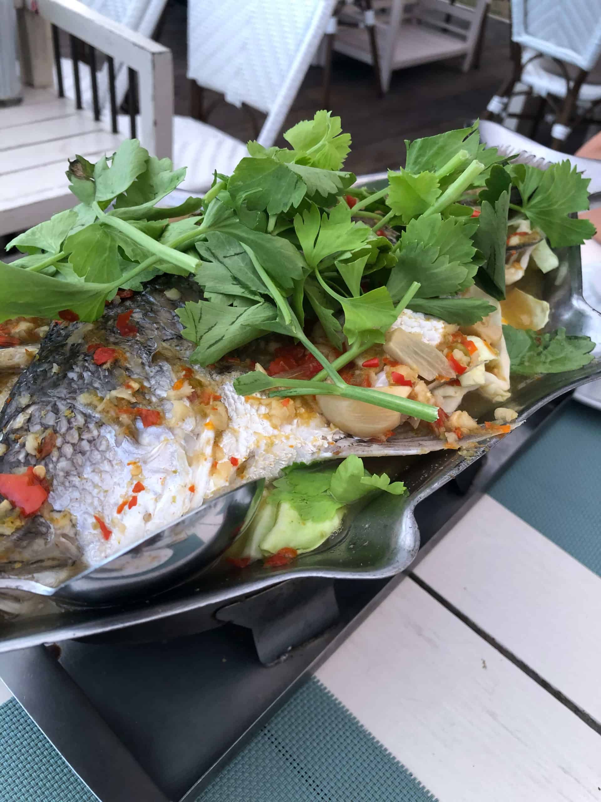 Stefanorama Rama 8 Bridge 2